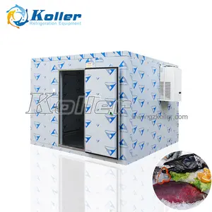 Koller walk in freezer cella frigorifera Koller 10cbm 3 tonnellate di porte isolate cella frigorifera con risparmio energetico per la conservazione dei frutti di mare