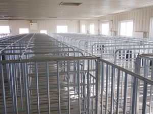 Cages pour <span class=keywords><strong>animaux</strong></span> en acier galvanisé à chaud, cages pour porcs - Product Image 3