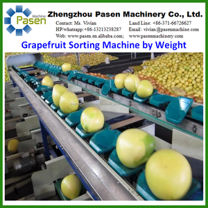Peso de fruta máquina clasificadora/guayaba máquina de clasificación por peso/papaya classifiying máquina - Product Image 5