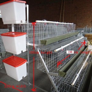 jaulas en batería para gallinas <span class=keywords><strong>ponedoras</strong></span> ( venta caliente en México, venezuela) - Product Image 1