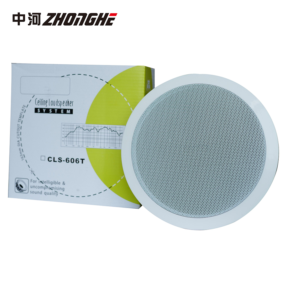 Factory Direct Sale Round Shaped Plastic Housing Passive 3W Ceiling Speaker for School Public Address System · image 5