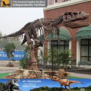 Figurine en squelette de dinosaure <span class=keywords><strong>T</strong></span> <span class=keywords><strong>rex</strong></span>, modèle de collection, taille d'origine, D27 - Product Image 3