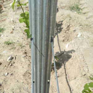 Estacas de <span class=keywords><strong>Madera</strong></span> que Reemplazan a los <span class=keywords><strong>Postes</strong></span> Metálicos Galvanizados, Resistentes a la Putrefacción, Ecológicas para Viñedos - Product Image 2
