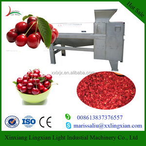 Tecnología avanzada Máquina Deshuesadora Cereza - Product Image 1