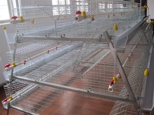 La avicultura de diseño de múltiples nivel galvanizado grandes jaulas de pájaros <span class=keywords><strong>gallinero</strong></span> para capas - Product Image 2