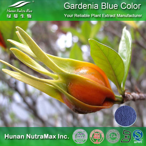 100% de alimentos naturales <span class=keywords><strong>Gardenia</strong></span> <span class=keywords><strong>azul</strong></span> Color en polvo de pigmento - Product Image 1