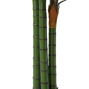 Trung Quốc Thực Vật Làm Bằng Cây Bonsai Cây Trồng Trong Chậu Tre Nhân Tạo Lòng Bàn Tay - Product Image 5