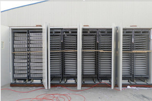 <span class=keywords><strong>30000</strong></span> Trứng Công Suất Lớn Lồng Ấp Trứng/Gà Trứng Lồng Ấp Thiết Bị Cho 33792 Trứng/Gà Trứng Lồng Ấp Để Bán - Product Image 4