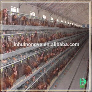 Gros <span class=keywords><strong>poulailler</strong></span> plans <span class=keywords><strong>design</strong></span> couche automatique cage de poulet à vendre - Product Image 3