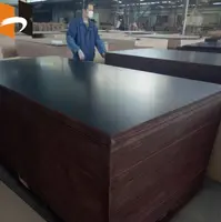Black Brown Film Faced Plywood Prices Hardwood Concrete Ply Wood Sheet for Construction
