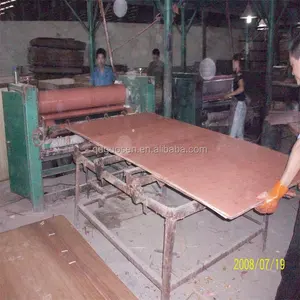 Laminado tablero de madera que hace la máquina/línea de producción/máquina de la prensa