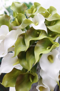 Реалистичные нулевые лилии Кала, искусственные цветы, искусственный шелк, купить искусственные лилии Калла, онлайн поставщики искусственных лилий Калла - Product Image 3