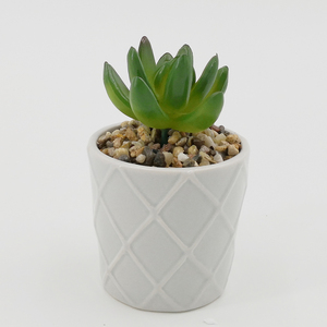 2019 nuevo diseño hogar Oficina escritorio decoración de cerámica mini <span class=keywords><strong>a</strong></span> granel <span class=keywords><strong>macetas</strong></span> de flores - Product Image 5