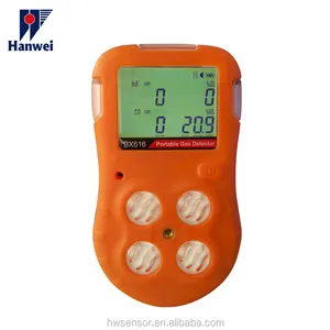 Portable gas detector