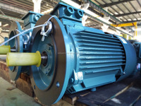 Motor Eléctrico de 60 kw de GUOMAO Factory Outlet