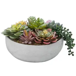 <span class=keywords><strong>Composizione</strong></span> <span class=keywords><strong>di</strong></span> <span class=keywords><strong>Piante</strong></span> Succulente Artificiali da 8 Pollici <span class=keywords><strong>in</strong></span> <span class=keywords><strong>Vaso</strong></span> <span class=keywords><strong>di</strong></span> Cemento - Product Image 1