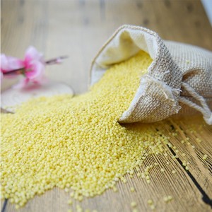 <span class=keywords><strong>Gluant</strong></span> coque jaune mil sorgho <span class=keywords><strong>collant</strong></span> millet pour gâteau de riz - Product Image 1