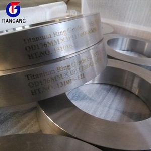 <span class=keywords><strong>Ta11</strong></span> Ta12 <span class=keywords><strong>Titanium</strong></span> Gesmede Ring - Product Image 5