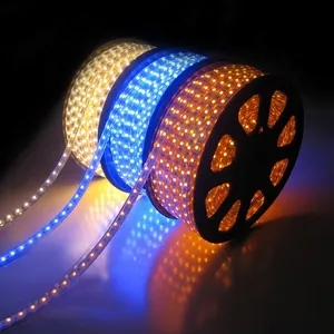 220V High Power Smd 5050 4040 Flexibele Led Platte Strip Touw Licht Waterdicht 100M Haspel Outdoor Landschapsverlichting