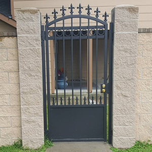 Metall dekorative Yard Gate Zäune und Tore Schmiedeeisen Gartenzaun Holz pulver beschichtet Indian House Main Gate Designs jeden Tag