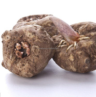 Offre spéciale! Poudre de gomme de Konjac à haute teneur en fibres alimentaires, gelée de Konnyaku, Glucomannan avec Brc/hackp/casher/Ifs