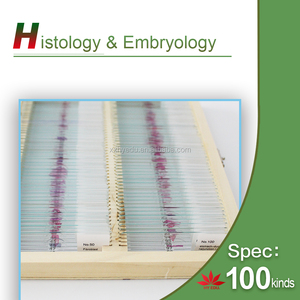 ชุดสไลด์เนื้อเยื่อสัตว์และมนุษย์ ยอดนิยม 100 ชิ้น บรรจุในกล่องไม้ - Product Image 2