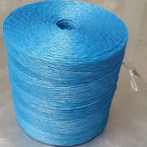 Bán Hot Nông Nghiệp Pp Raffia Cà Chua Baler Twine - Product Image 1