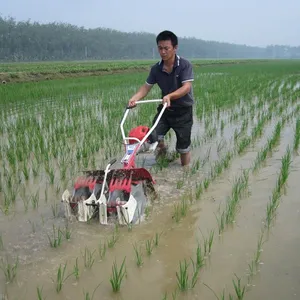 Gasoline engine 2 rows power paddy weeder