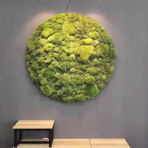 real fresh stabilized preserved moss for restaurant decoration AA Grade