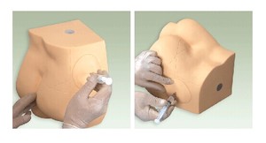 ADA-H1T anatomische Injektion modelle des menschlichen Körpers des Gesäß muskels imulators - Product Image 6