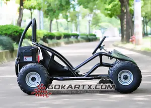 800W Không Chổi Than Động Cơ Đi Kart