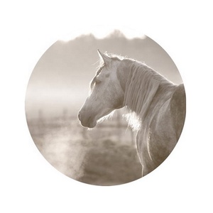 Foto di tigre immagini di animali pittura su tela pronta da appendere alla decorazione della parete stampa digitale stampa d'arte moderna Top Art lucido - Product Image 2