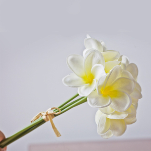 <span class=keywords><strong>PU</strong></span> yapay <span class=keywords><strong>plumeria</strong></span> buket ucuz yapay frangipani çiçekler avustralya yapay <span class=keywords><strong>plumeria</strong></span> çiçekler - Product Image 2