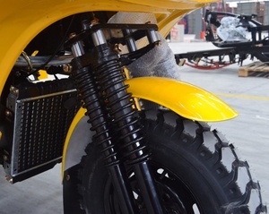 Ba Bánh xe gắn máy 200cc 250cc Cargo ba bánh với che mưa và kính chắn gió - Product Image 6