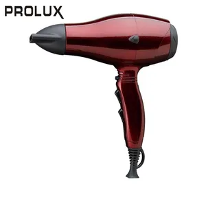 PROLUX Cheap Price ISO900 Certificate Household Hotel Salon Hair Dryer With 110V And 220V