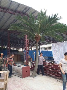 Guangzhou Konda alta falso artificial Material <span class=keywords><strong>De</strong></span> Fibra Vegetal y Plantar Árboles <span class=keywords><strong>de</strong></span> Tipo al aire libre Palmera Artificial - Product Image 6