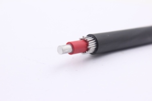 <span class=keywords><strong>Precio</strong></span> de fábrica para <span class=keywords><strong>cable</strong></span> concéntrico de <span class=keywords><strong>aluminio</strong></span> de núcleo único de bajo voltaje <span class=keywords><strong>Cable</strong></span> antirrobo de 16mm - Product Image 5