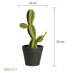 <span class=keywords><strong>Cactus</strong></span>, Decoración de casa de estilo moderno <span class=keywords><strong>cactus</strong></span> planta y succlents interior planta de <span class=keywords><strong>cactus</strong></span> - Product Image 2