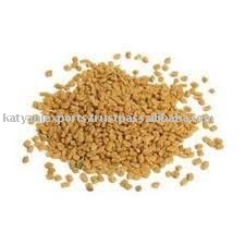 สารสกัดจาก Methi สดในราคาที่ตลาด - Product Image 2