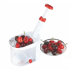 Professional factory best price mini cherry pitter for home use