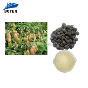 Whosale griffonia simplicifolia chiết xuất hạt 5-hydroxytryptophan
