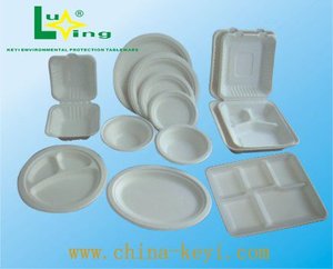 Platos desechables Contenedor Almeja 8 "Clamshell Biodegradable Caja para llevar Venta al por mayor PFAS GRATIS - Product Image 4