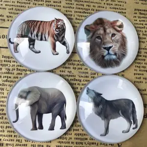Aimant de réfrigérateur à dôme en verre de cristal de haute qualité, aimant souvenir 3d avec image imprimée, éléphant, lion, tigre, animaux du zoo