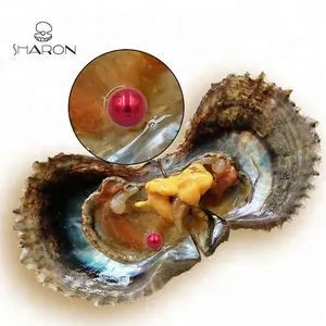 Joias aaa de natal de 6-7mm, oysters com vinho tinto redondo, pérolas culturas naturais