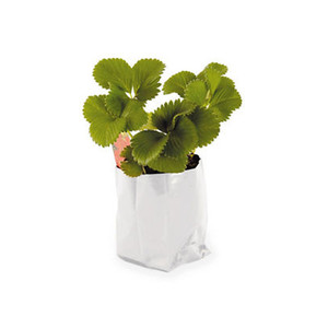 Bac de culture rond en <span class=keywords><strong>plastique</strong></span>, sacs de plantation verticaux, blancs parfaits pour le jardinage, offre spéciale - Product Image 4