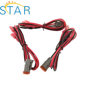 Özel <span class=keywords><strong>2</strong></span> pin dişi konnektör tel kablo demeti DT konnektörü ile <span class=keywords><strong>2</strong></span> yollu kablo demeti - Product Image 2