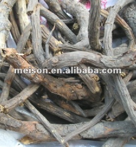 Physiorba (diyu) - Product Image 2