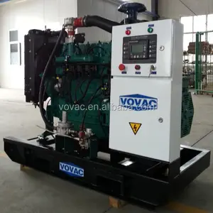 Hot Koop 100kw Gas Generator Met Laagste Prijs