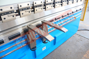 De stockage de programme de sécurité standard 100 tonnes presse plieuse outillage col de <span class=keywords><strong>cygne</strong></span> poinçons pour vente craigslist - Product Image 4