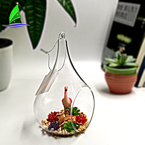 <span class=keywords><strong>Terrarium</strong></span> de verre transparent soufflé à la main, Vase de planteur en verre soufflé, pour décoration de maison - Product Image 5
